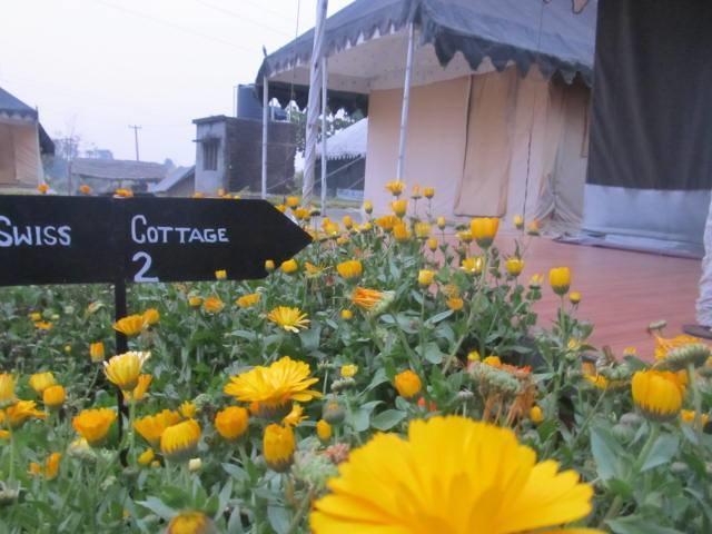 Derra Camp And Resort Jhājra Exterior foto